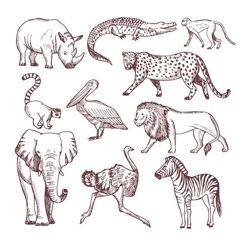 africa line art|african animal line drawing.